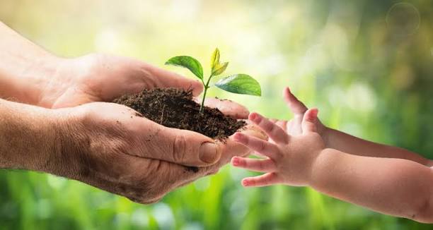Environmental Care